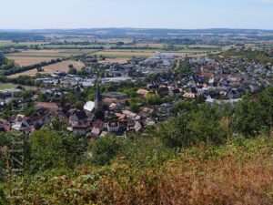 Blick über Zeil am Main von der Käppele aus